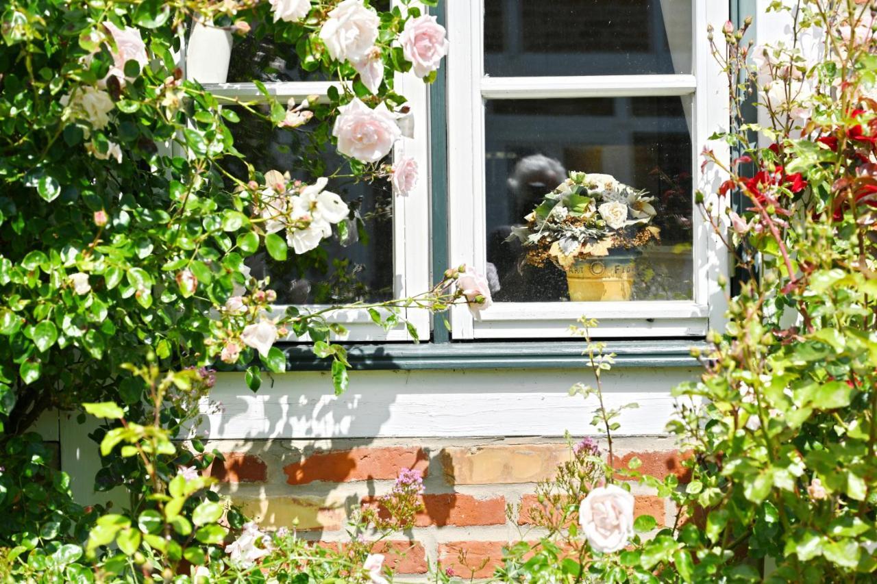 Landhaus Vilmnitz - Wohnung 10 Buitenkant foto