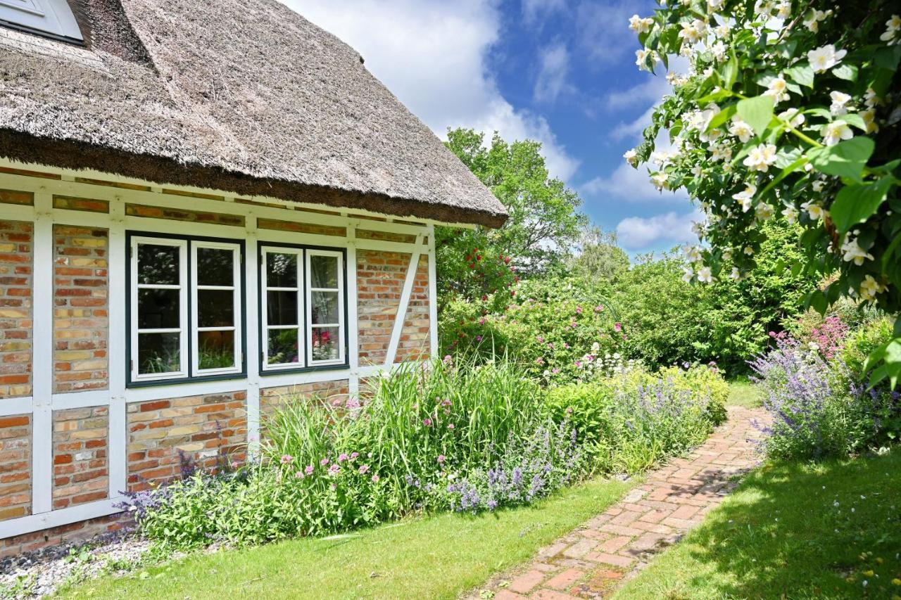 Landhaus Vilmnitz - Wohnung 10 Buitenkant foto