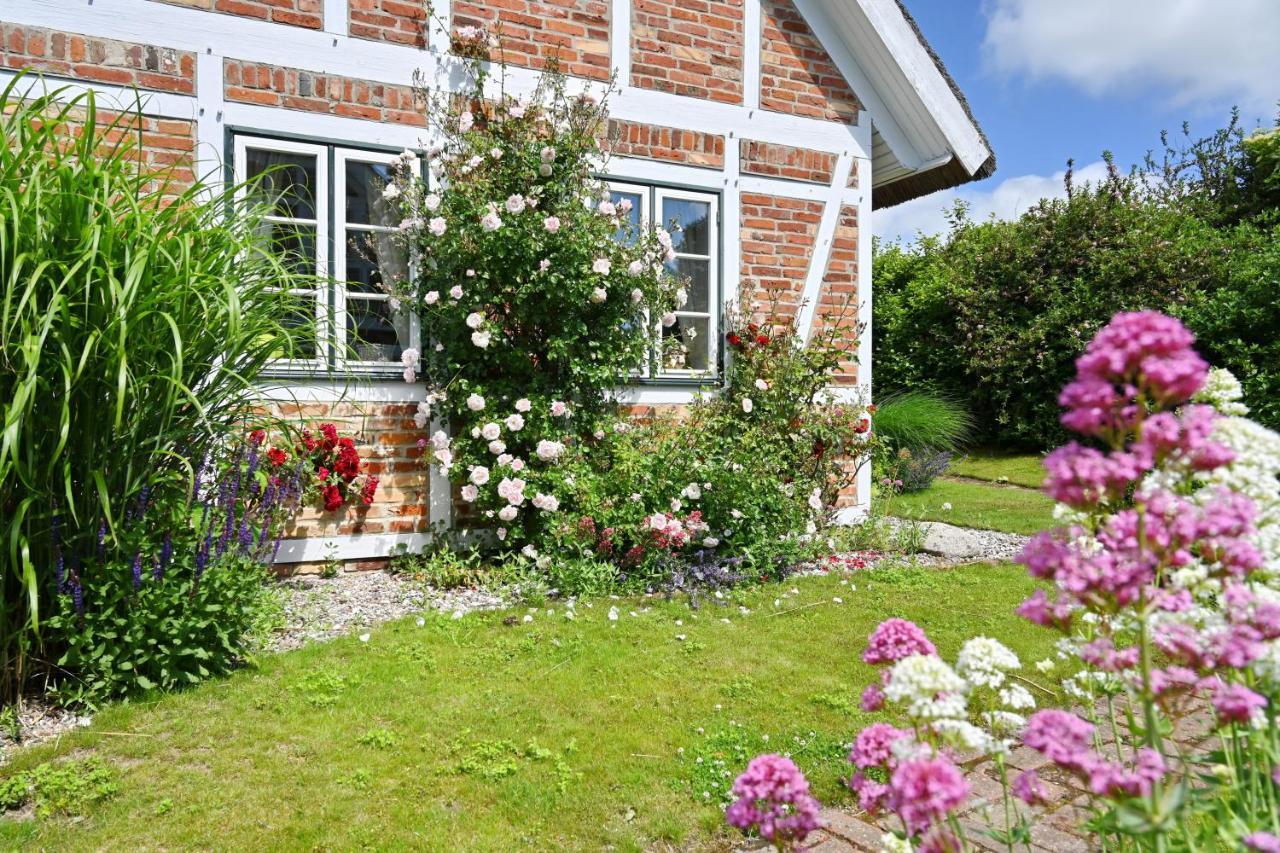 Landhaus Vilmnitz - Wohnung 10 Buitenkant foto